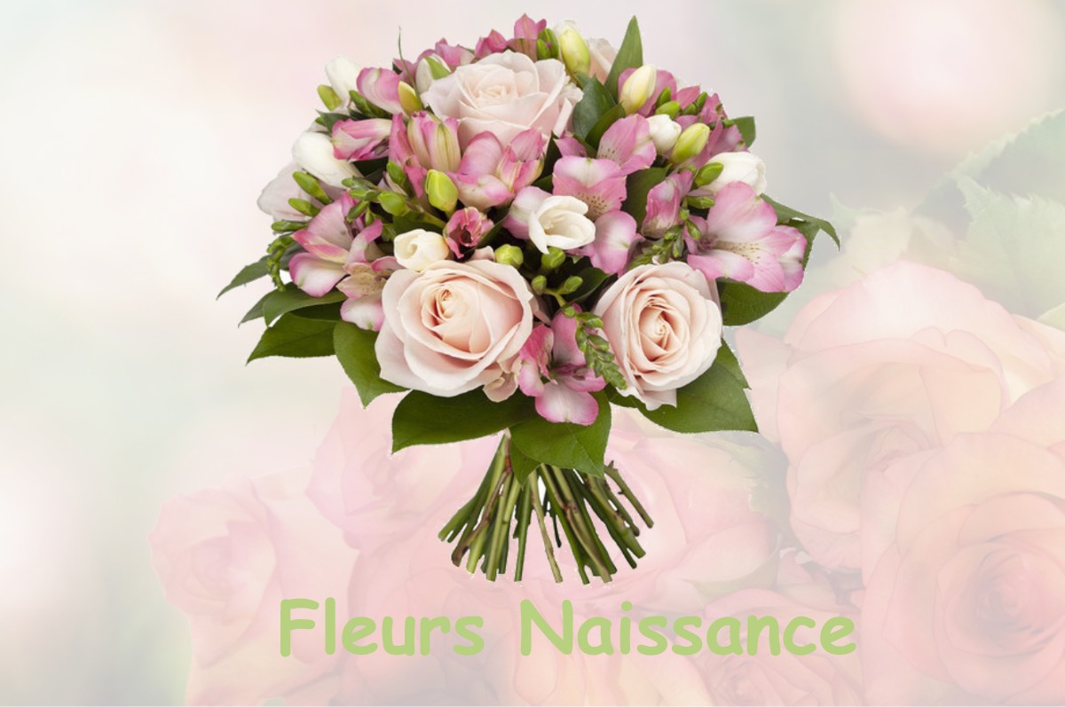 fleurs naissance BONDIGOUX