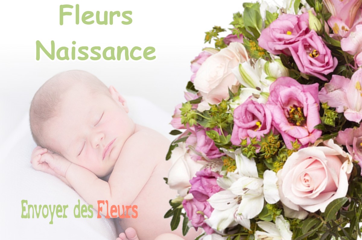 lIVRAISON FLEURS NAISSANCE à BONDIGOUX